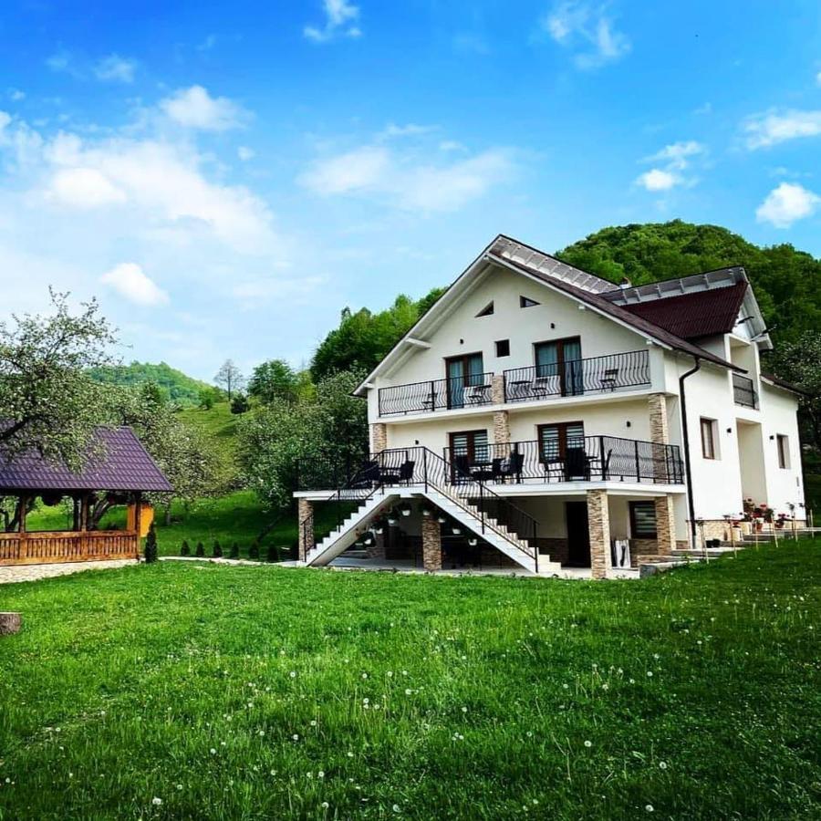Pensiunea Hai In Maramures Birsana Exterior photo